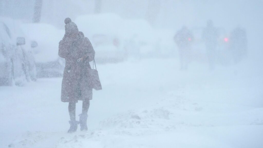 Фото: AP Photo/Seth Wenig.