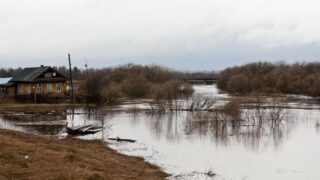 В Буландынском районе открыли 8 пунктов сбора населения и животных в случае паводка