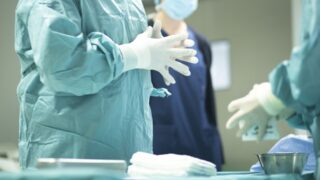 В Японии выведены свиньи для пересадки органов человеку