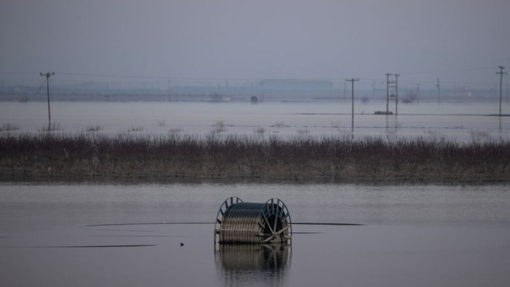 Фото: Reuters