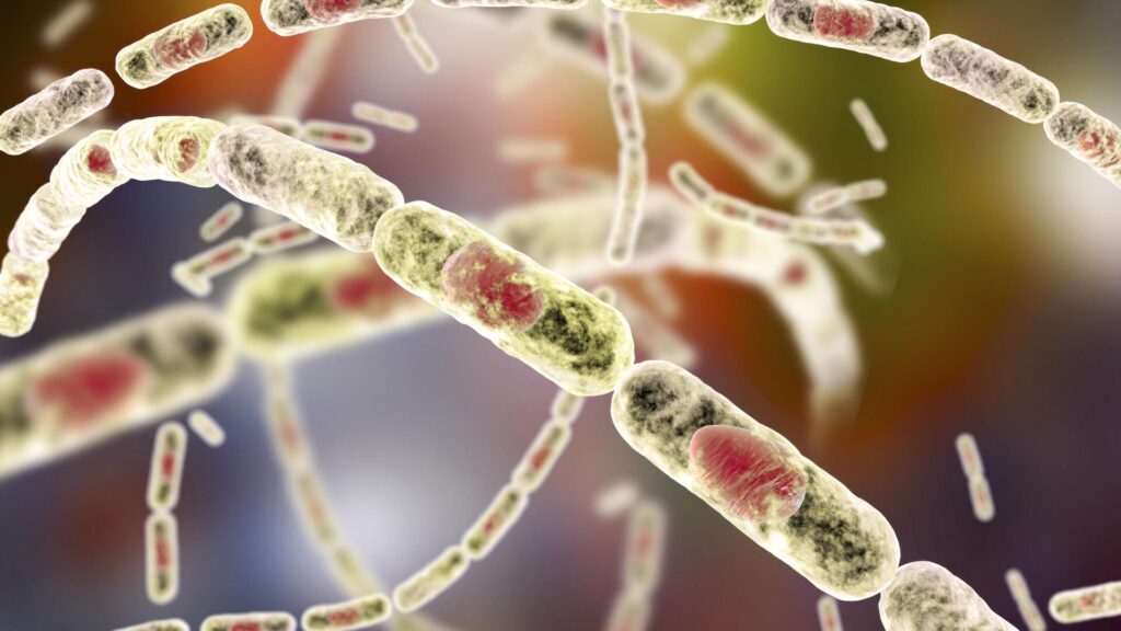 Фото: iStock.com Dr_Microbe.