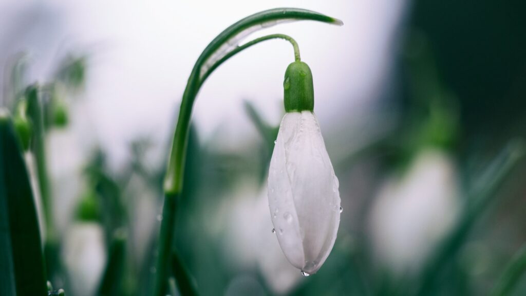 Фото: unsplash.com.