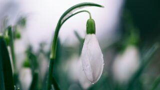 Ожидается ухудшение погоды в Казахстане 28 марта