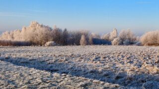 Предпринимателя оштрафовали за нарушение экологических правил в Павлодарской области
