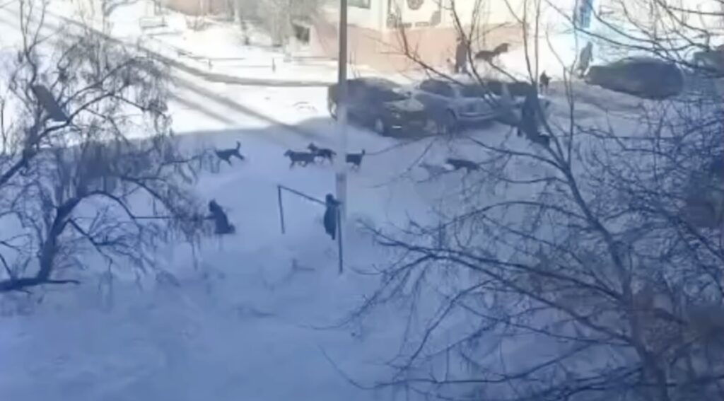 Фото: Кадр из видео