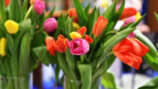 Сотрудниц областного центра скорой медицинской помощи поздравили в СКО