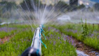 Турецкий инвестор планирует реализовать проект по водосбережению в Арыси