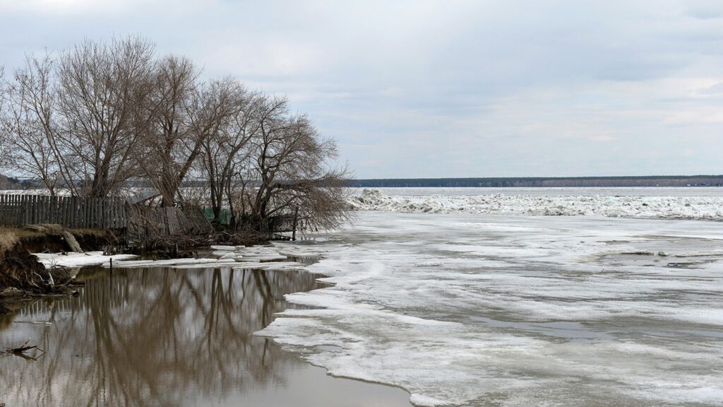 Вода затопила дома