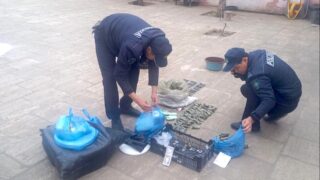 В Жанаозене конфисковали большую партию насвая у 49-летней женщины