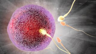 Влияние микробиома спермы на мужскую фертильность