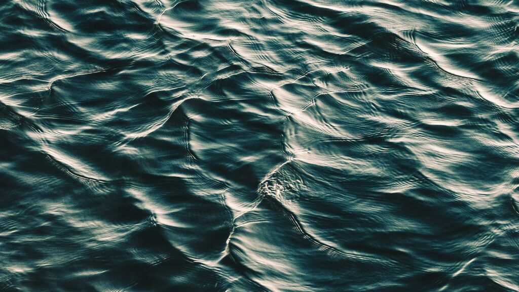 Фото: unsplash.com.