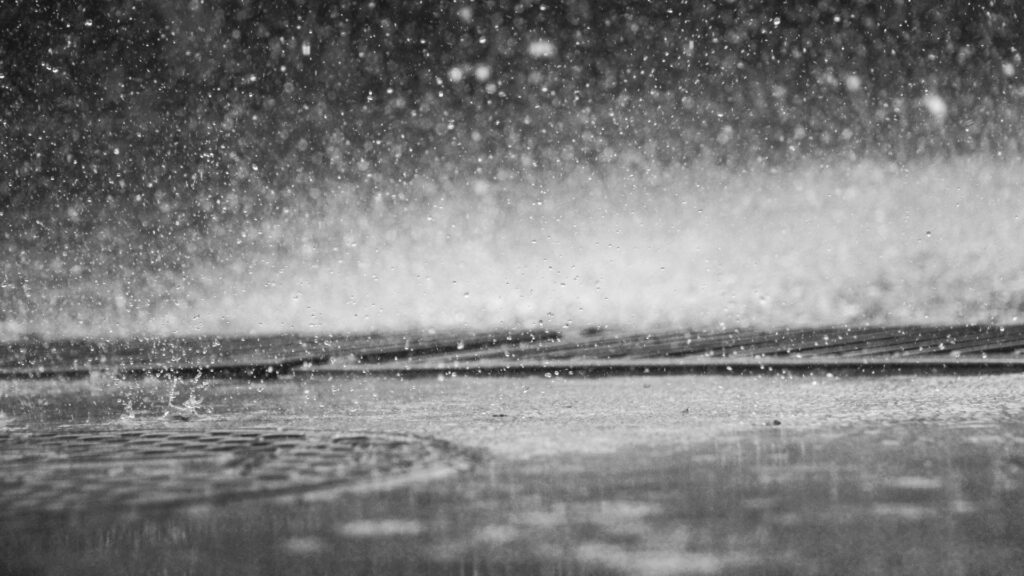 Фото: unsplash.com.
