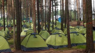 Сколько детей власти планируют отправить в детские лагеря в 2024