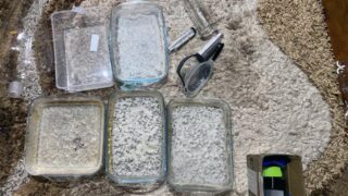 В Алматинской области закрыли нарколабораторию
