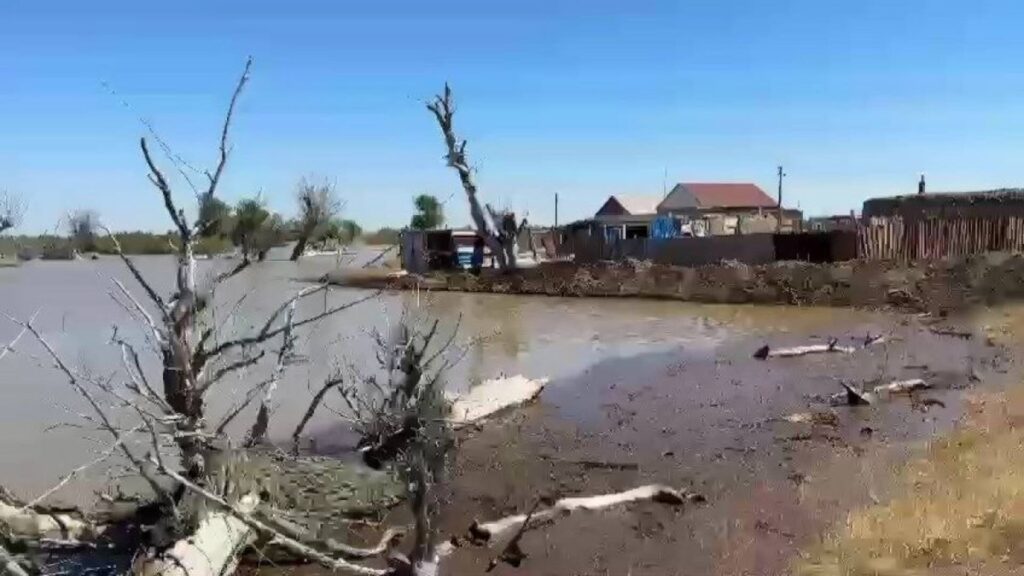 Фото: "Ак Жайык".