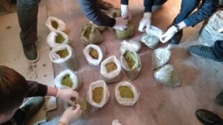 Полиция пресекла поставку гашиша в Акмолинскую область
