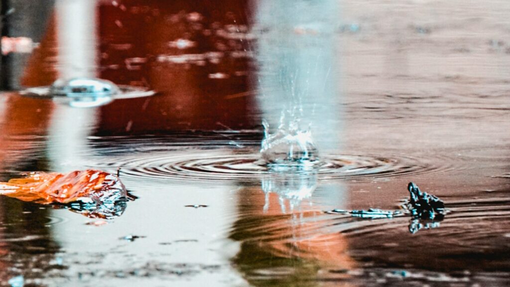 Фото: unsplash.com.