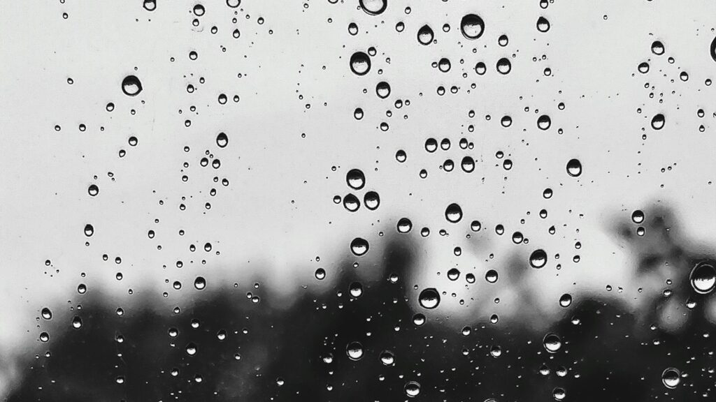 Фото: unsplash.com.