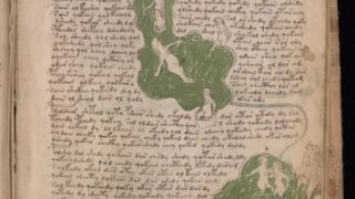 Ученые предположительно нашли ключ к тайне манускрипта Войнича