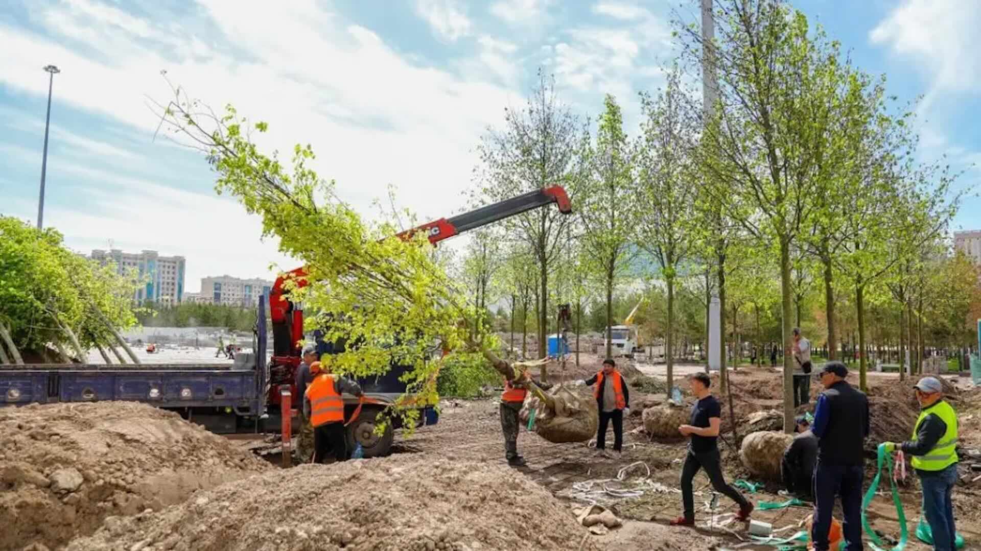 В Астане будет новый зеленый бульвар - аким Касымбек