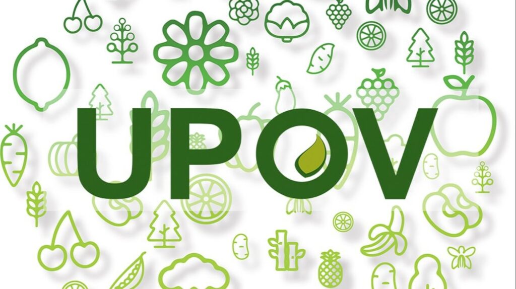 Логотип UPOV на белом фоне