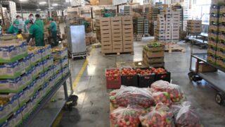 Индекс производства продуктов питания в Алматы увеличился до 88%