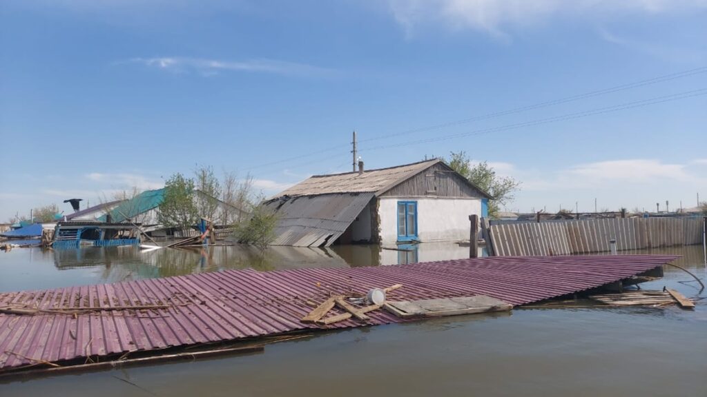 Источник фото: предоставлено для Bizmedia.kz.