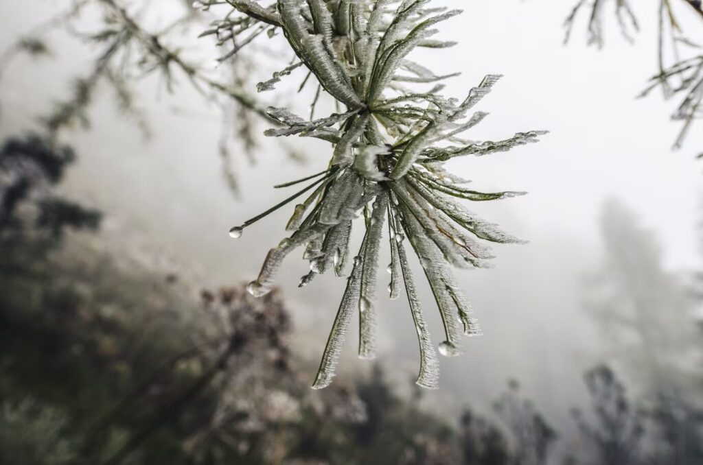 Фото: aleskrivec / Freepik