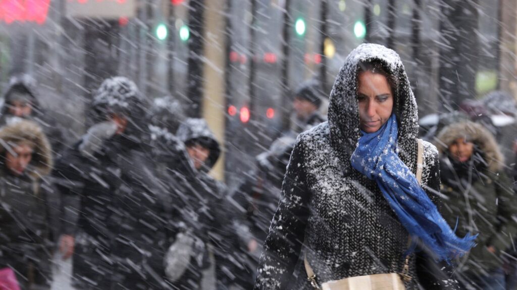 Фото: AP Photo / Seth Wenig
