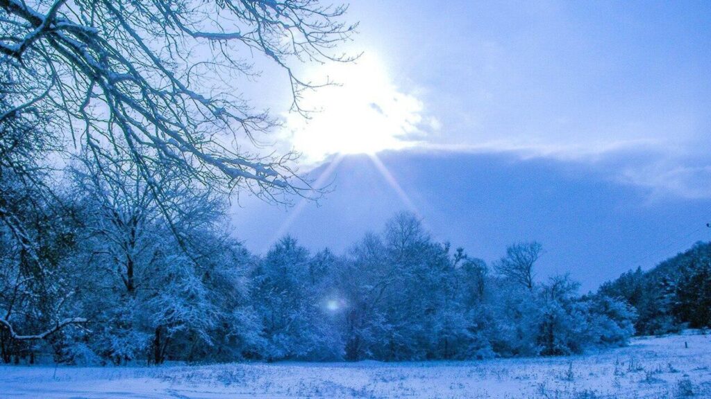 Зима природа