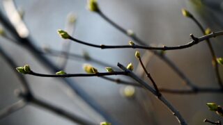 Прогноз погоды на 29 марта в Алматы, Астане и Шымкенте