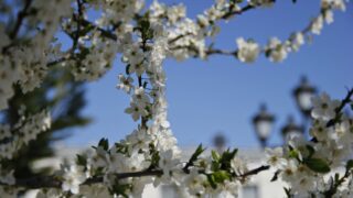 Прогноз погоды на 28 марта в Казахстане: дожди, облачность и ветер