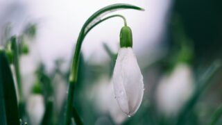 Какая погода ожидается в Казахстане 26 марта?