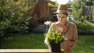 В Актобе объявлен конкурс на самый ухоженный двор: приз – 1 млн тенге