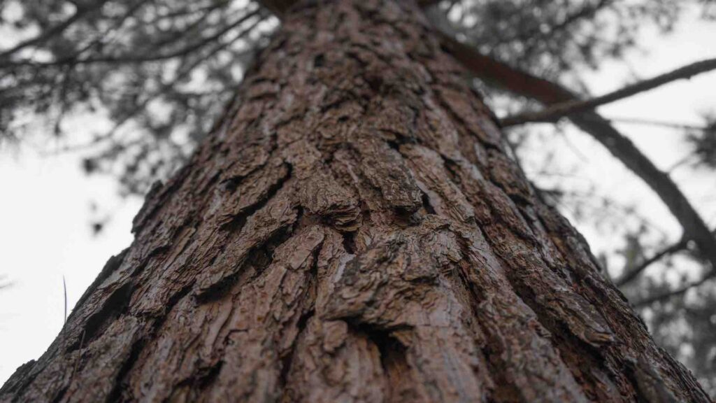 Фото: wirestock / Freepik