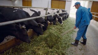 В Казахстане изменены правила возмещения ущерба в сфере сельского хозяйства