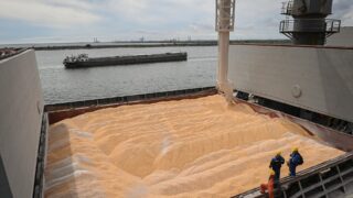 За морем телушка полушка да дорог перевозили Вырастить – мало, надо еще доставить и выгодно продать