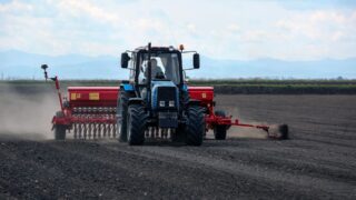 Аграрии смогут взять весенние кредиты под 5% с отсрочкой до марта 2026 года