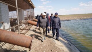 Ирригационные системы Абайской области восстановят: как это повлияет на сельское хозяйство и занятость