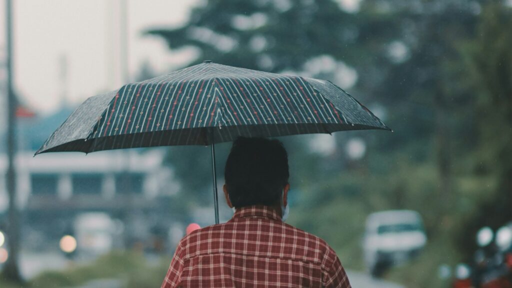 Фото: unsplash.com