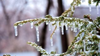 Погода в Казахстане: 24 апреля будет жара на юге и заморозки на севере