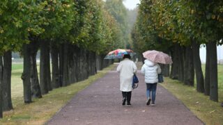 Погода в Казахстане: 30 апреля принесет похолодание на юг страны