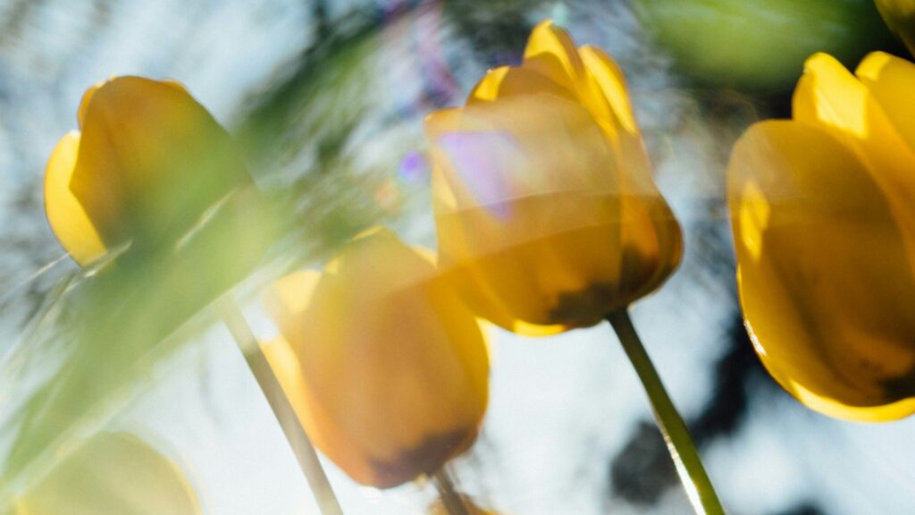 Фото: unsplash.com