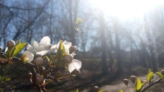 Погода в Казахстане на 4-6 мая: тепло, солнце и дождь