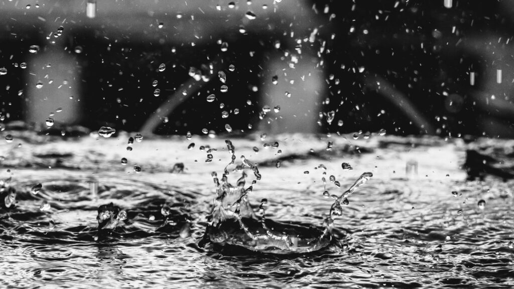 Фото: unsplash.com