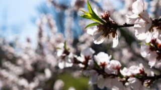 Погода в Казахстане 6 мая: дожди и грозы ожидаются на западе