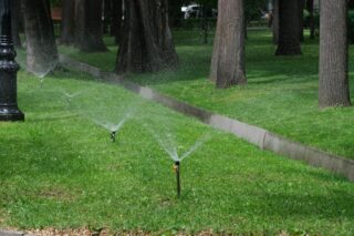 Более миллиона деревьев и 790 км автополива: в Алматы расширяют масштабную программу озеленения