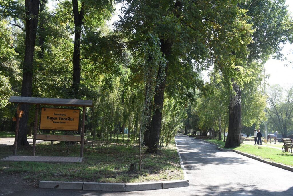 Роща Баума в Алматы