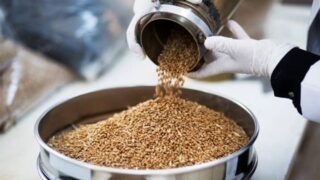 Казахстан и Венгрия объединяют усилия для развития кормовой отрасли