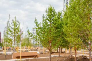 170 дворов и общественных пространств благоустроят в Астане